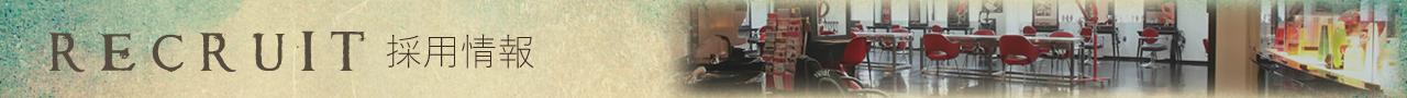 採用情報